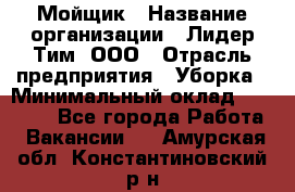 Мойщик › Название организации ­ Лидер Тим, ООО › Отрасль предприятия ­ Уборка › Минимальный оклад ­ 15 300 - Все города Работа » Вакансии   . Амурская обл.,Константиновский р-н